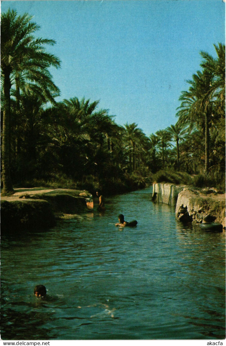 PC SAUDI ARABIA, WHEN IT IS HOT SOME FIND IT, Modern Postcard (b48130) - Arabie Saoudite