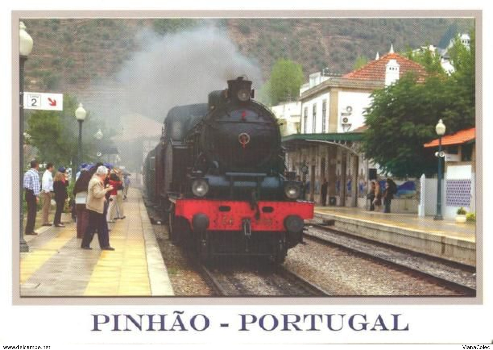 Alijó > Pinhão / Estação Ferroviária / Gare / Comboio = Train = Zug = Tren = Treno - Vila Real