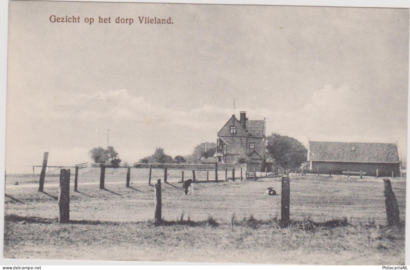 Vlieland - Gezicht Op Het Dorp - Zeer Oud - Vlieland