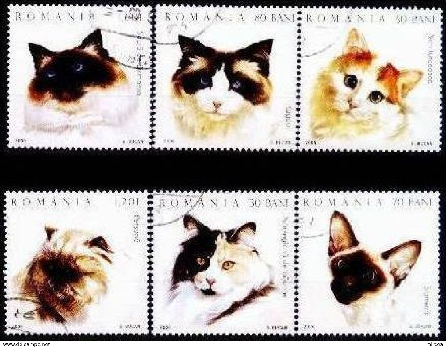 C3982 - Roumanie 2006 - Chats 6v.obliteres - Used Stamps