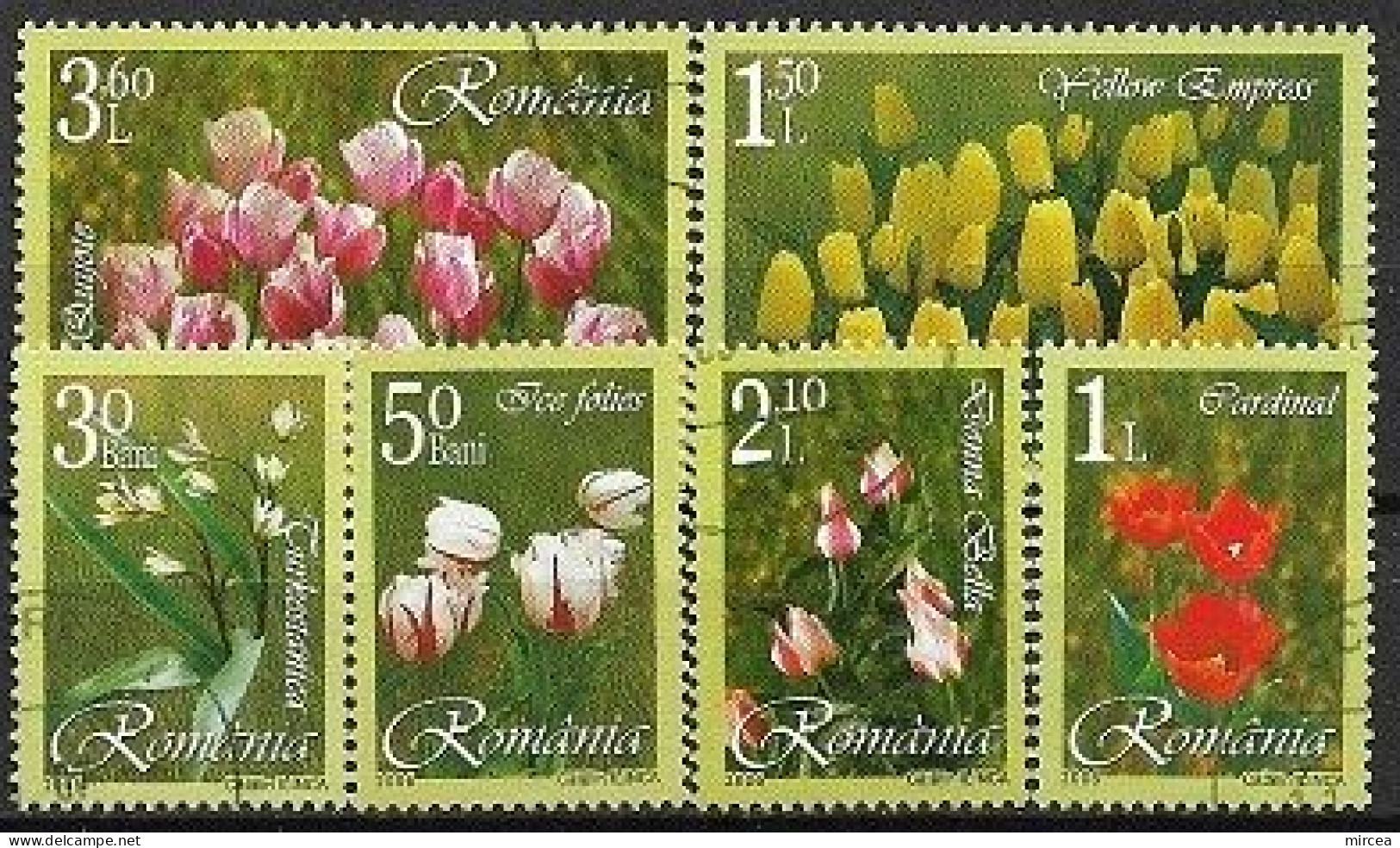 C3990 - Roumanie 2006 - Fleurs 6v.obliteres - Used Stamps