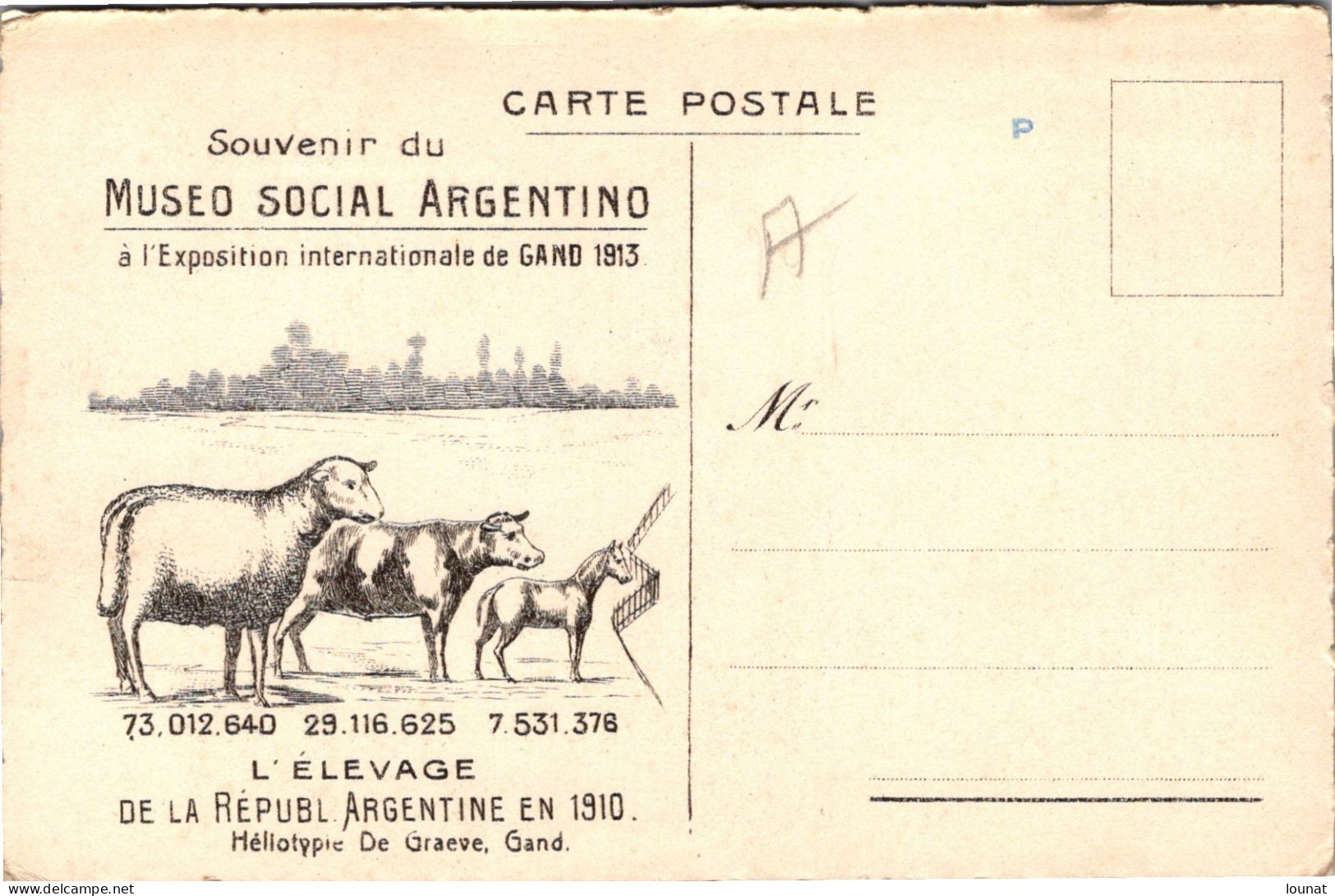 ARGENTINE  - Republica Argentina - Province De Buenos Aires - Le Musée - La Plata - Souvenir Au Dos - Argentine