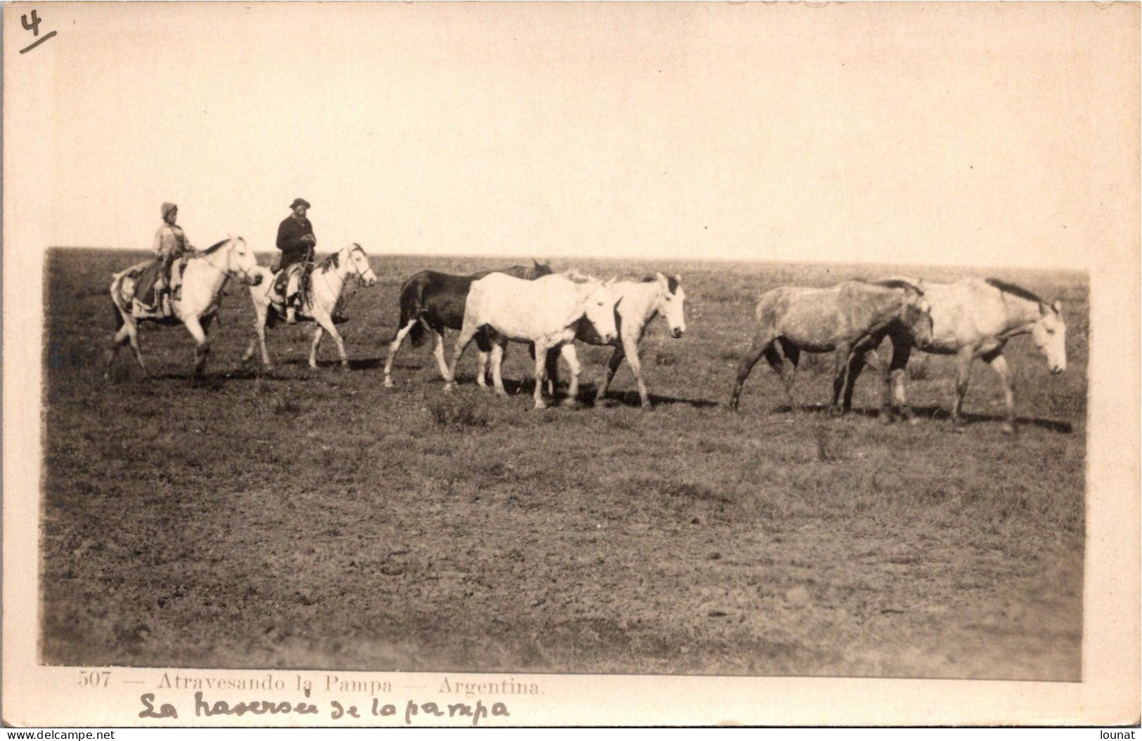 ARGENTINE  - Atravesando La Pampa - A Travers La Pampa - Argentine