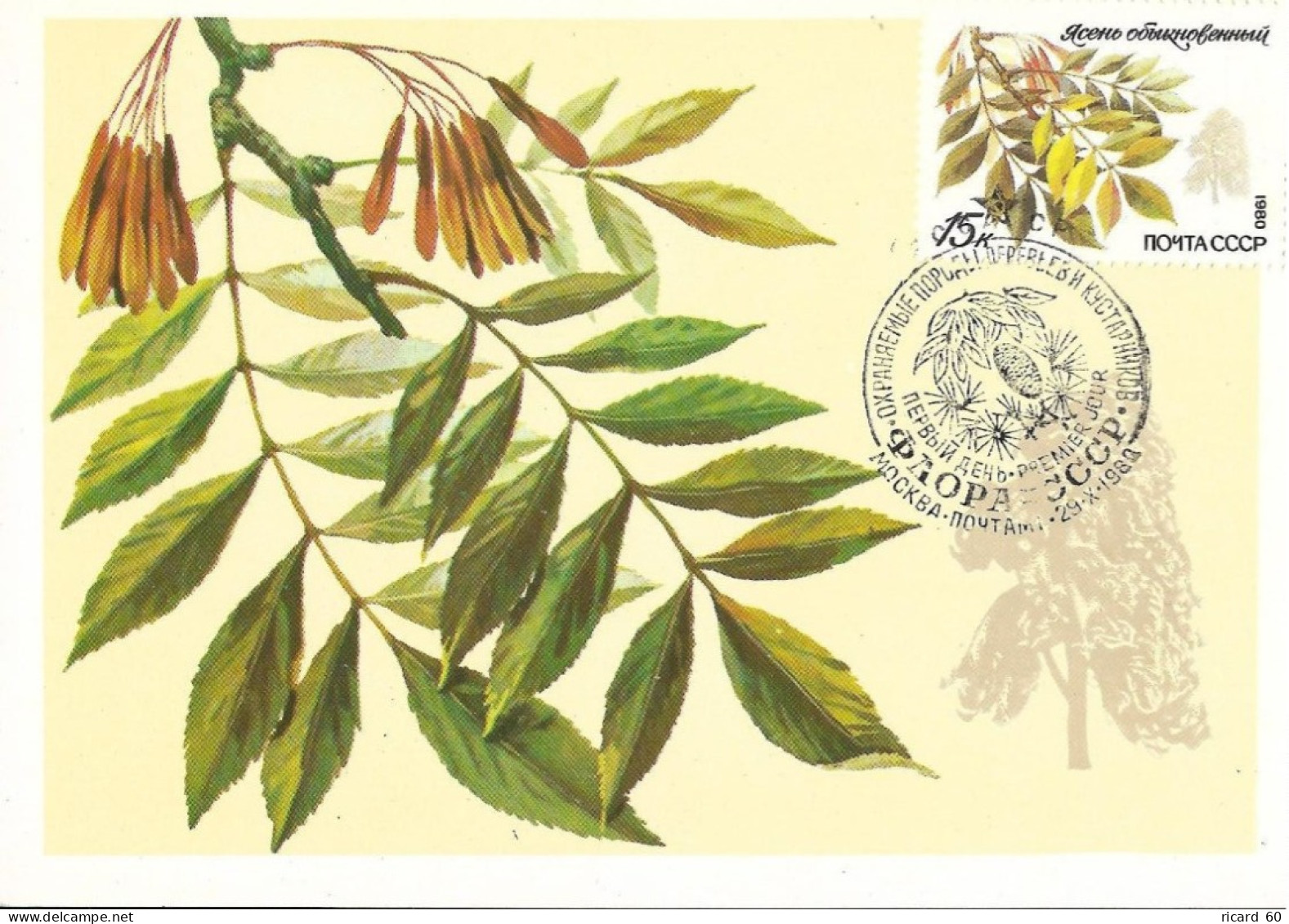 Carte Maximum Fdc URSS, 1980, N° 4746 YT, Flore, Arbres Et Arbustes, Frêne Commun - Cartes Maximum