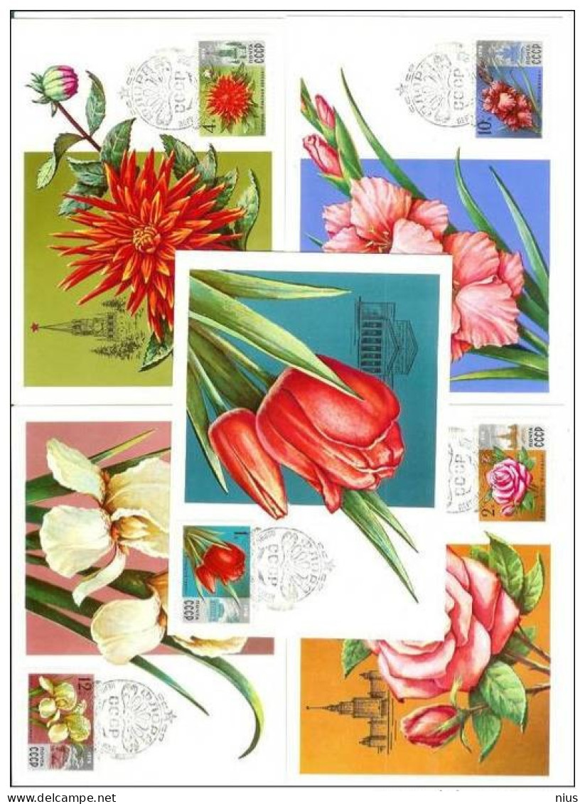 Russia USSR 1978 MC X5 Flora Flowers Flower Maximum Cards - Tarjetas Máxima