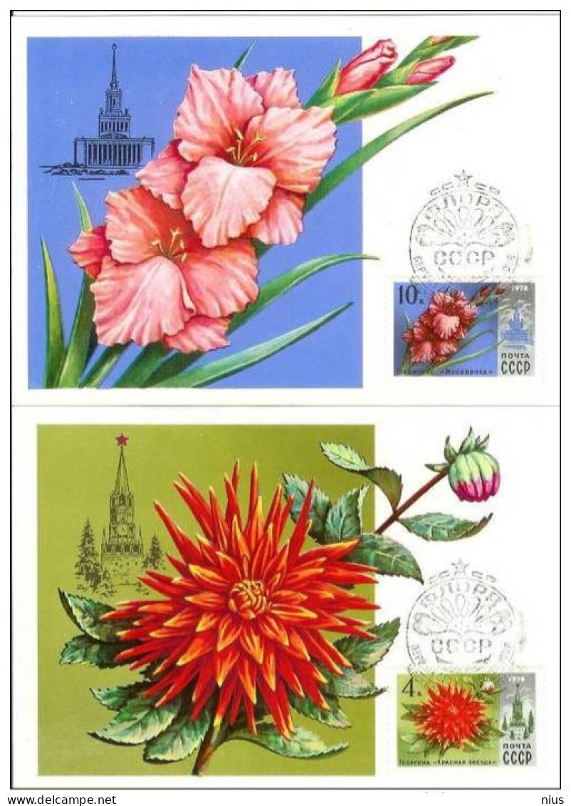 Russia USSR 1978 MC X5 Flora Flowers Flower Maximum Cards - Cartes Maximum