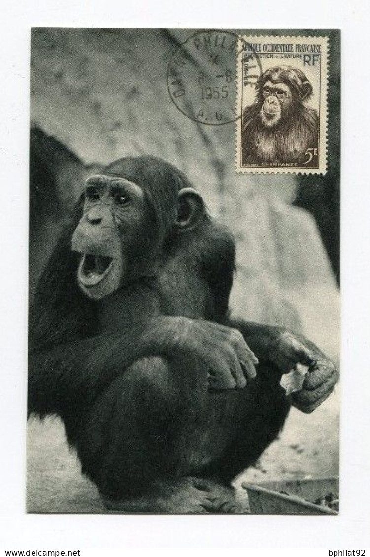 !!! AOF CARTE MAXIMUM CHIMPANZE CACHET DE DAKAR DU 8/6/1955 - Lettres & Documents