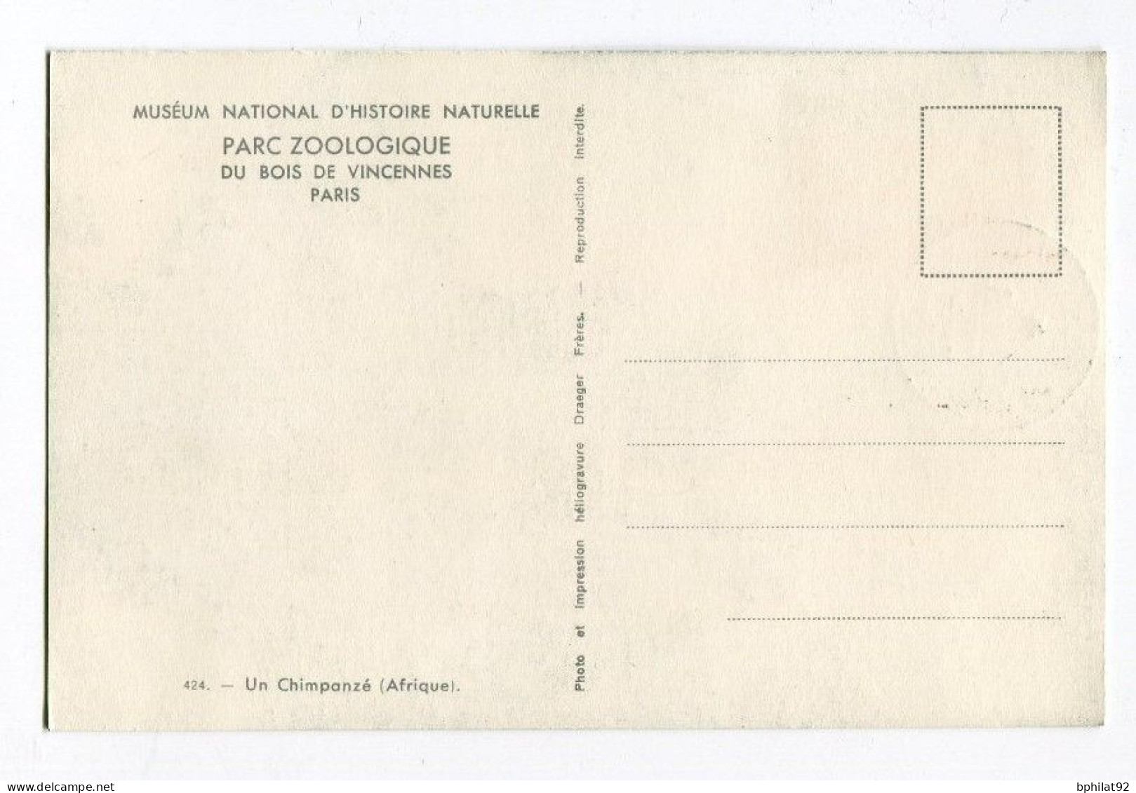 !!! AOF CARTE MAXIMUM CHIMPANZE CACHET DE DAKAR DU 8/6/1955 - Storia Postale