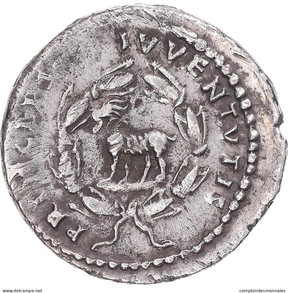 Monnaie, Domitien, Denier, 80-81, Rome, TTB+, Argent, RIC:267 - La Dinastia Flavia (69 / 96)