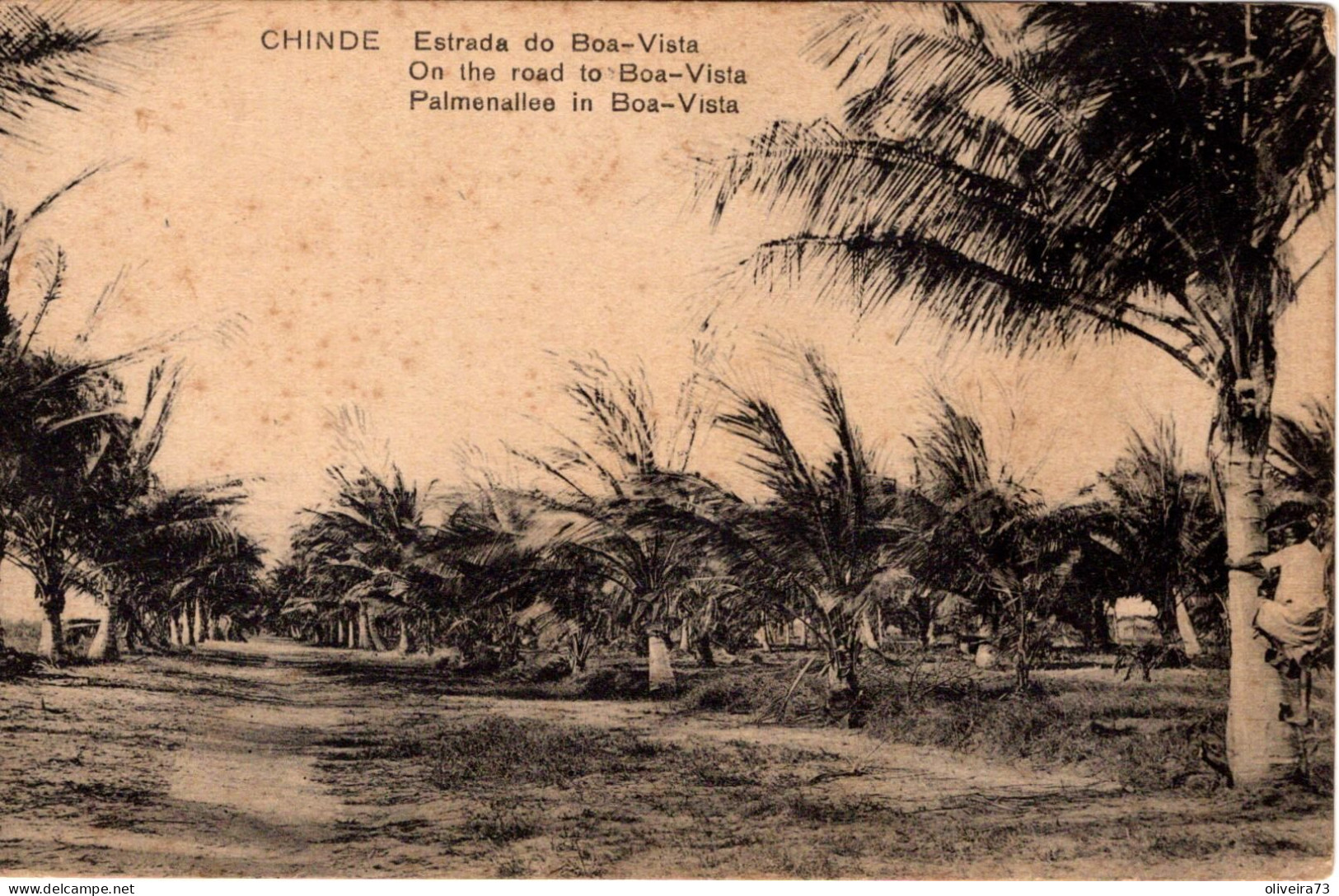 MOÇAMBIQUE - CHINDE - Estrada Da Boa-Vista - Mozambique