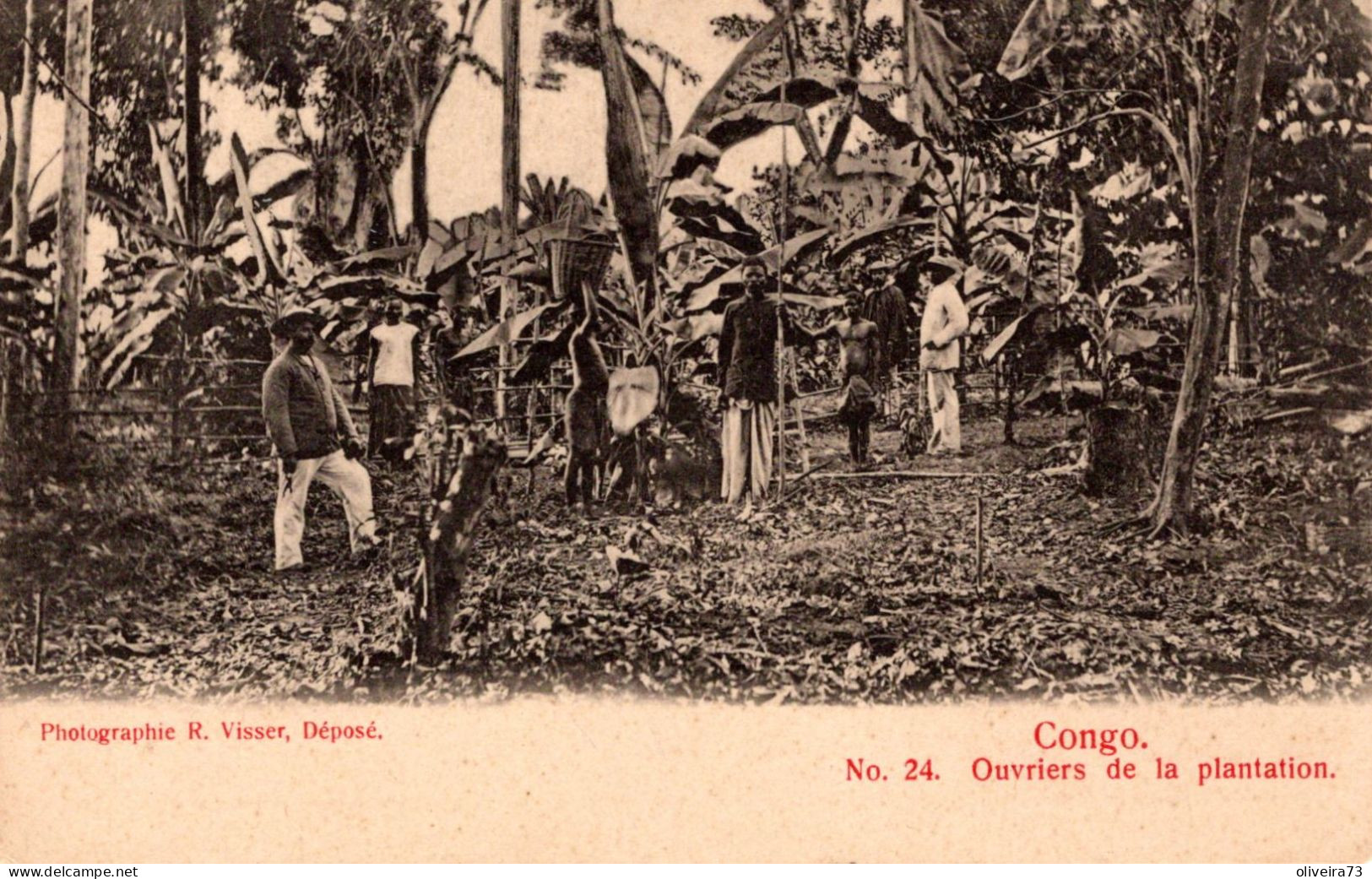 ANGOLA - CABINDA - CONGO - Ouvriers De La Plantation - Angola