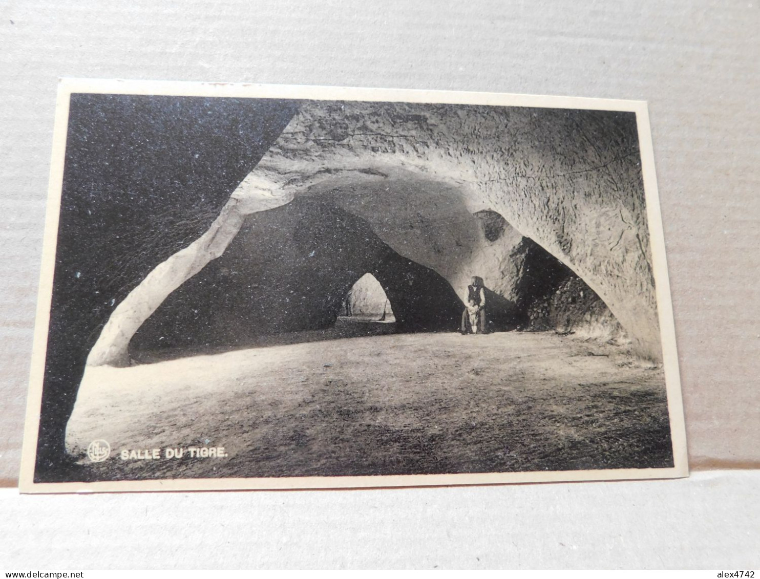 Salle Du Tigre Champignonnière De FOLX Les CAVES Ramillies  (Y18) - Ramillies