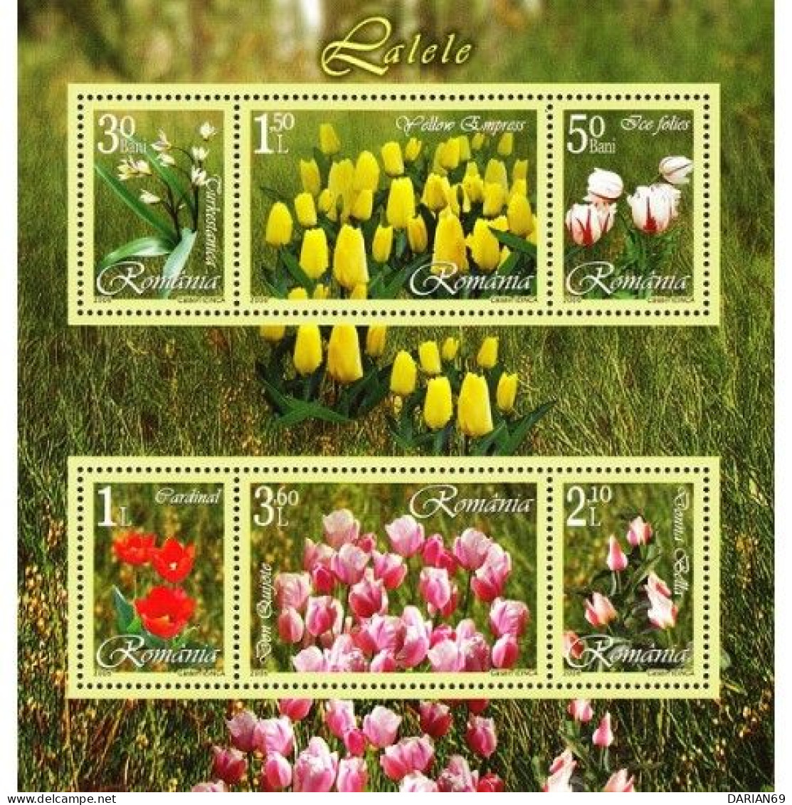 ROMANIA 1716b, 2006,* Tulips, BLOCK OF 6, TULIPES - Otros & Sin Clasificación