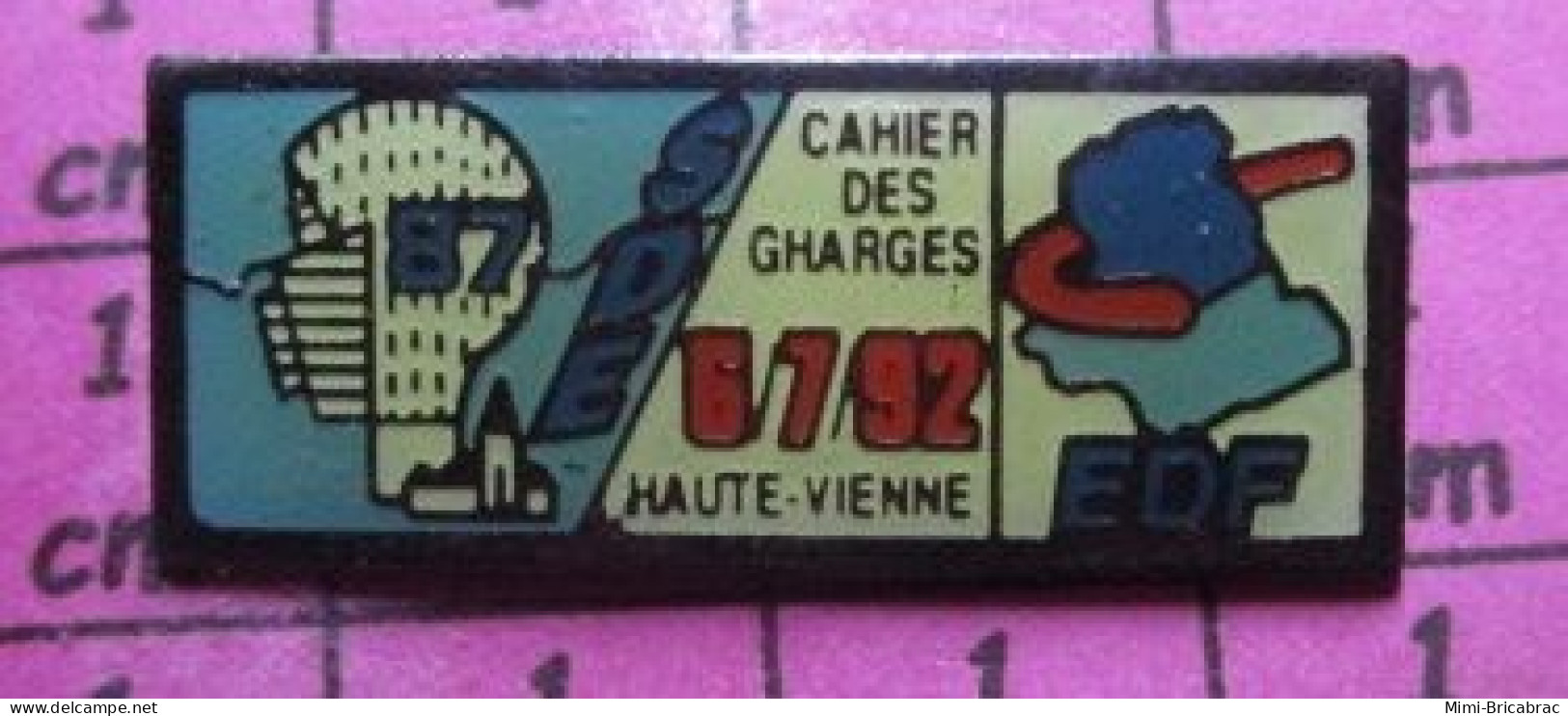 716a Pin's Pins / Beau Et Rare / EDF / SDE 87 CAHIER DES CHARGES HAUTE-VIENNE - EDF GDF