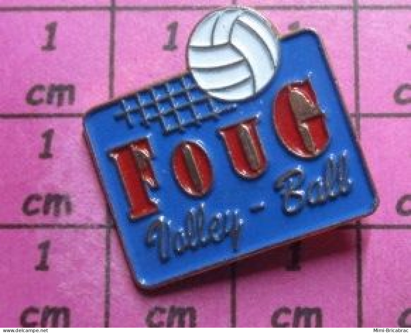 716a Pin's Pins / Beau Et Rare / SPORTS / CLUB VOLLEY-BALL FOUG FOUGERES ? BALLON FILET - Pallavolo