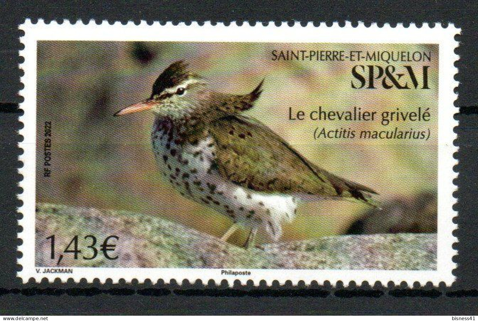 Col35 Colonies SPM St Pierre & Miquelon 2022 N° 1277 Neuf XX MNH - Unused Stamps