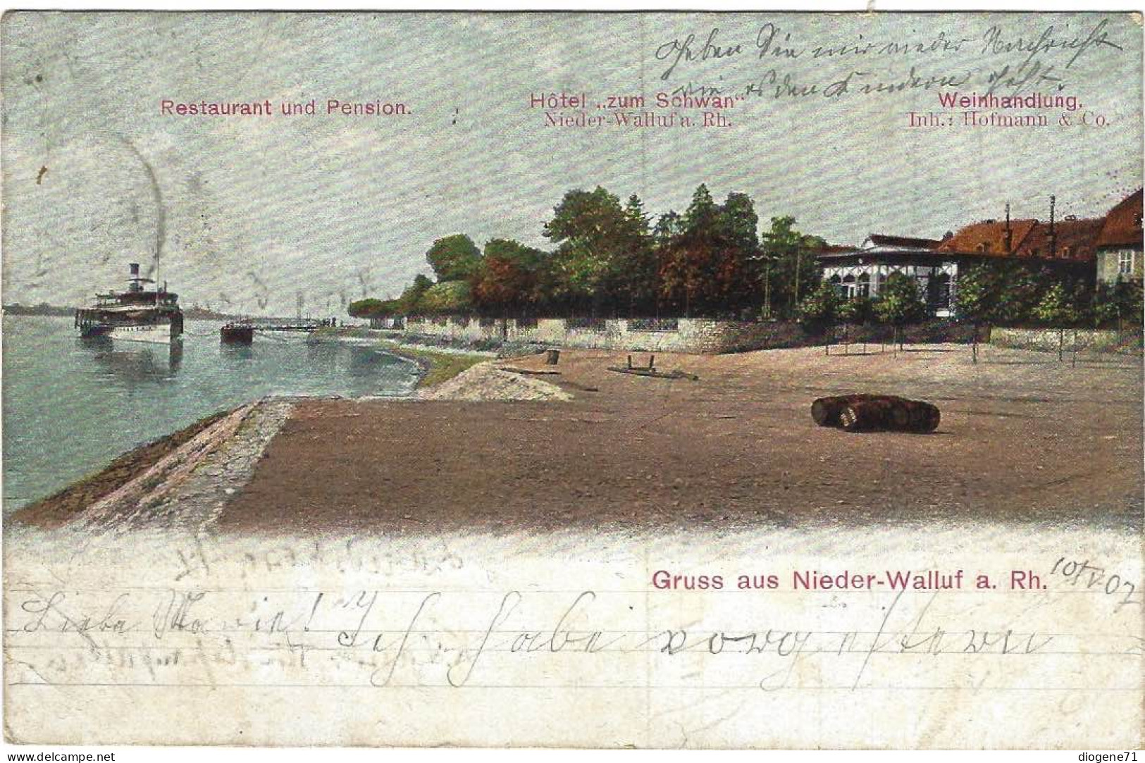 Gruss Aus Nieder-Walluf A. Rh 1907 Dampfer Selten Hotel Zum Schwan - Rheingau