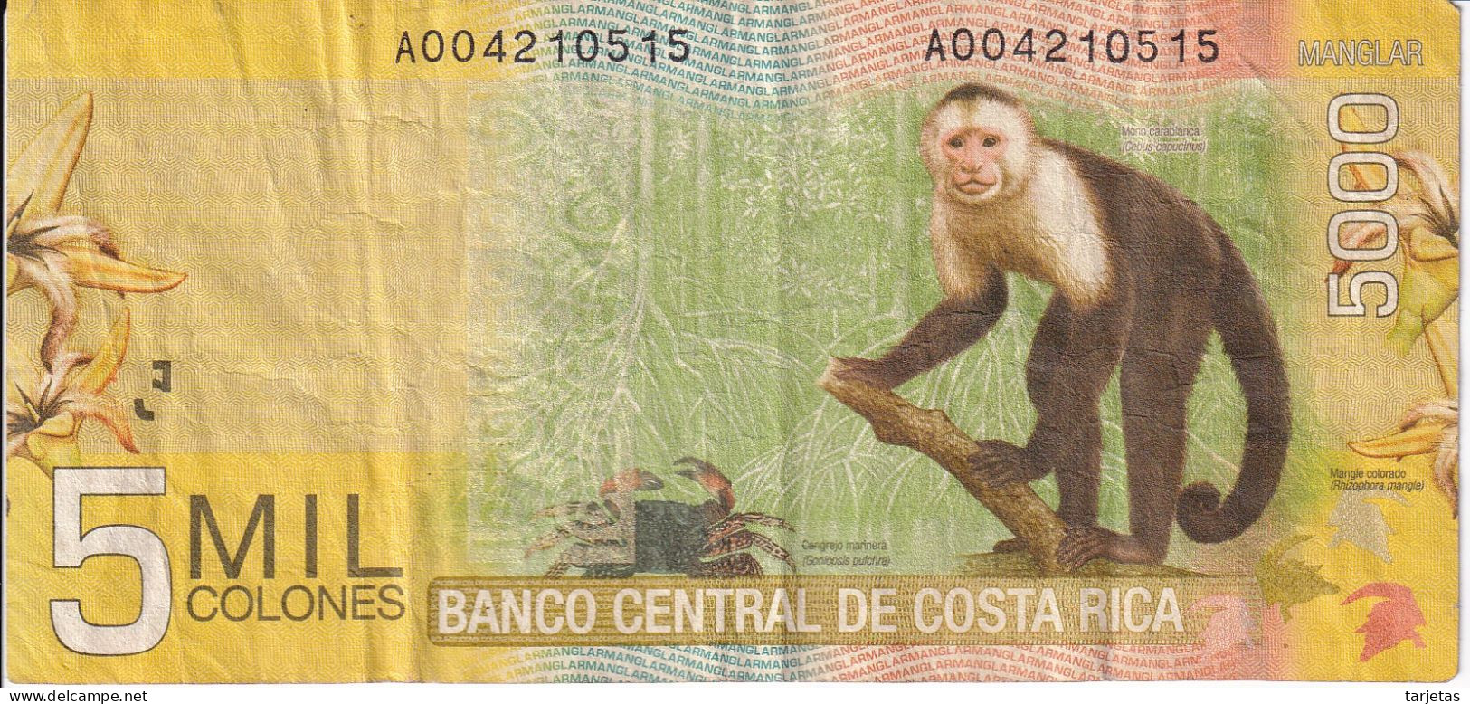 BILLETE DE COSTA RICA DE 5000 COLONES DEL AÑO 2009 (MONO-MONKEY)  (BANKNOTE) - Costa Rica