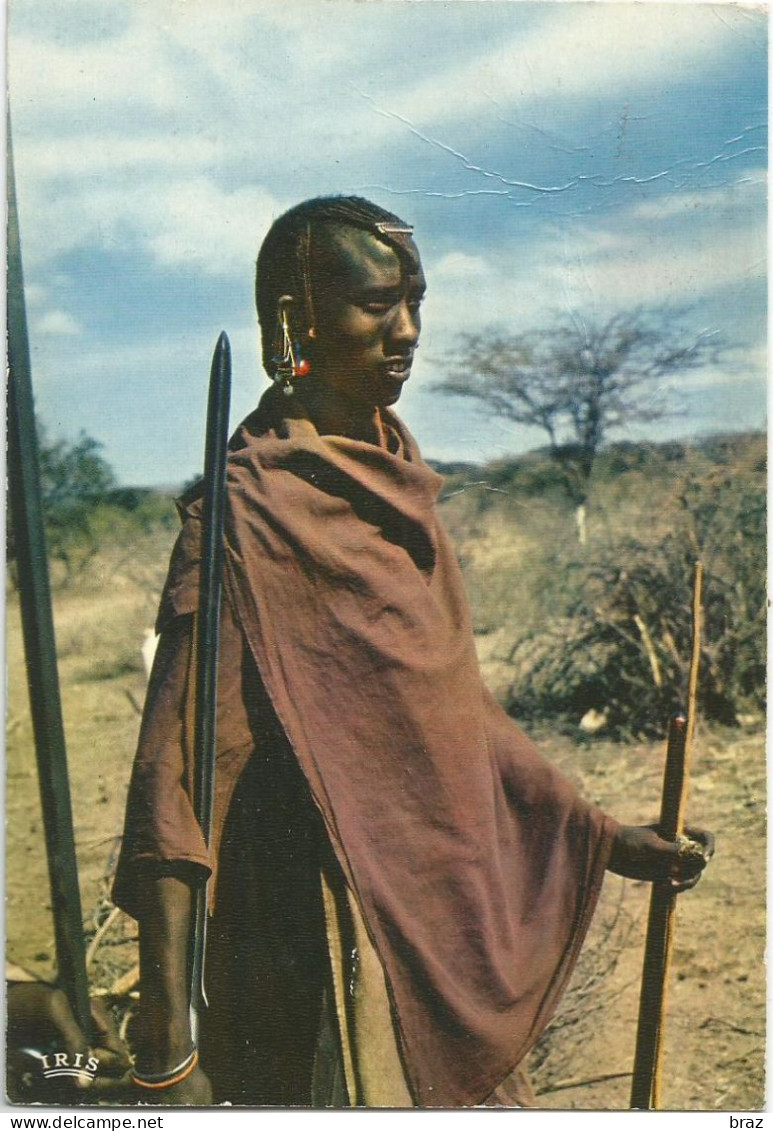CPM Afrique  Masai Warrior - Non Classés
