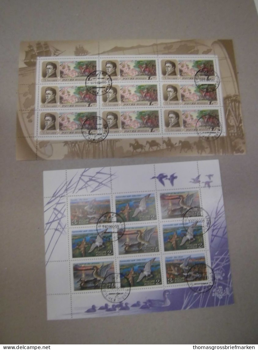Sammlung Russland Kleinbogen 134x Ex 1992-2003 Gestempelt Alle Abgebildet (40010 - Gebraucht