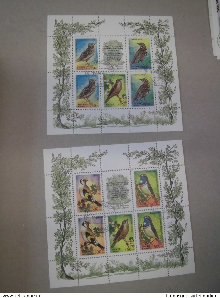 Sammlung Russland Kleinbogen 134x ex 1992-2003 gestempelt alle abgebildet (40010