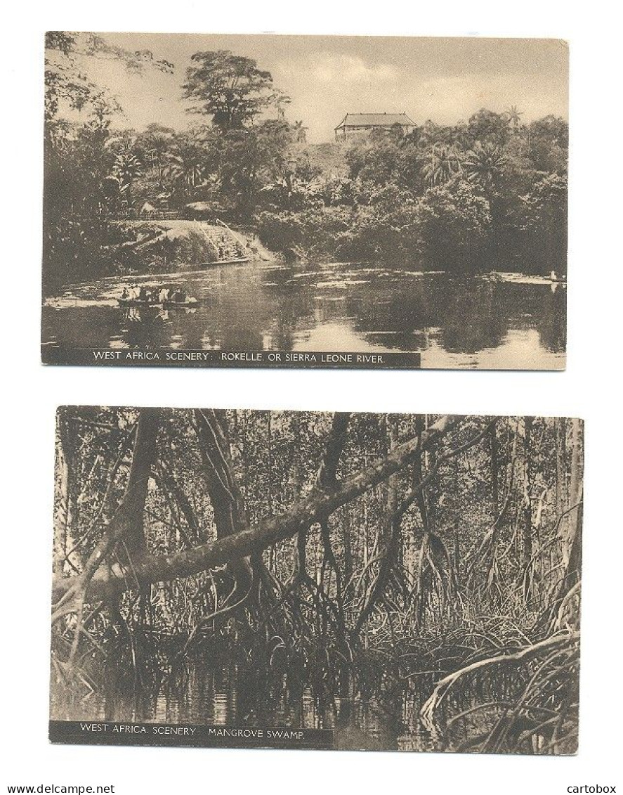 West Africa, 6 X Scenery (oil Palm, Mangrove Swamp, Sierra Leone River, River Gambia, Savannah, Forest  (6 X Scan) - Non Classés