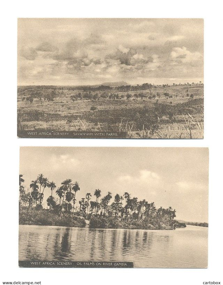 West Africa, 6 X Scenery (oil Palm, Mangrove Swamp, Sierra Leone River, River Gambia, Savannah, Forest  (6 X Scan) - Non Classés