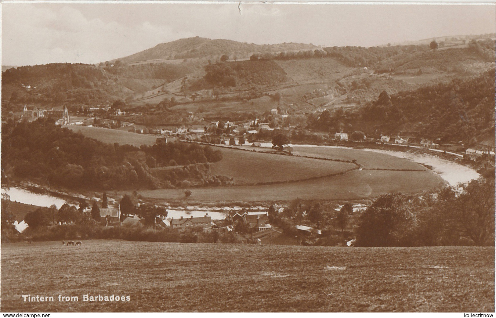 TINTERN FROM BARBADOES - Monmouthshire