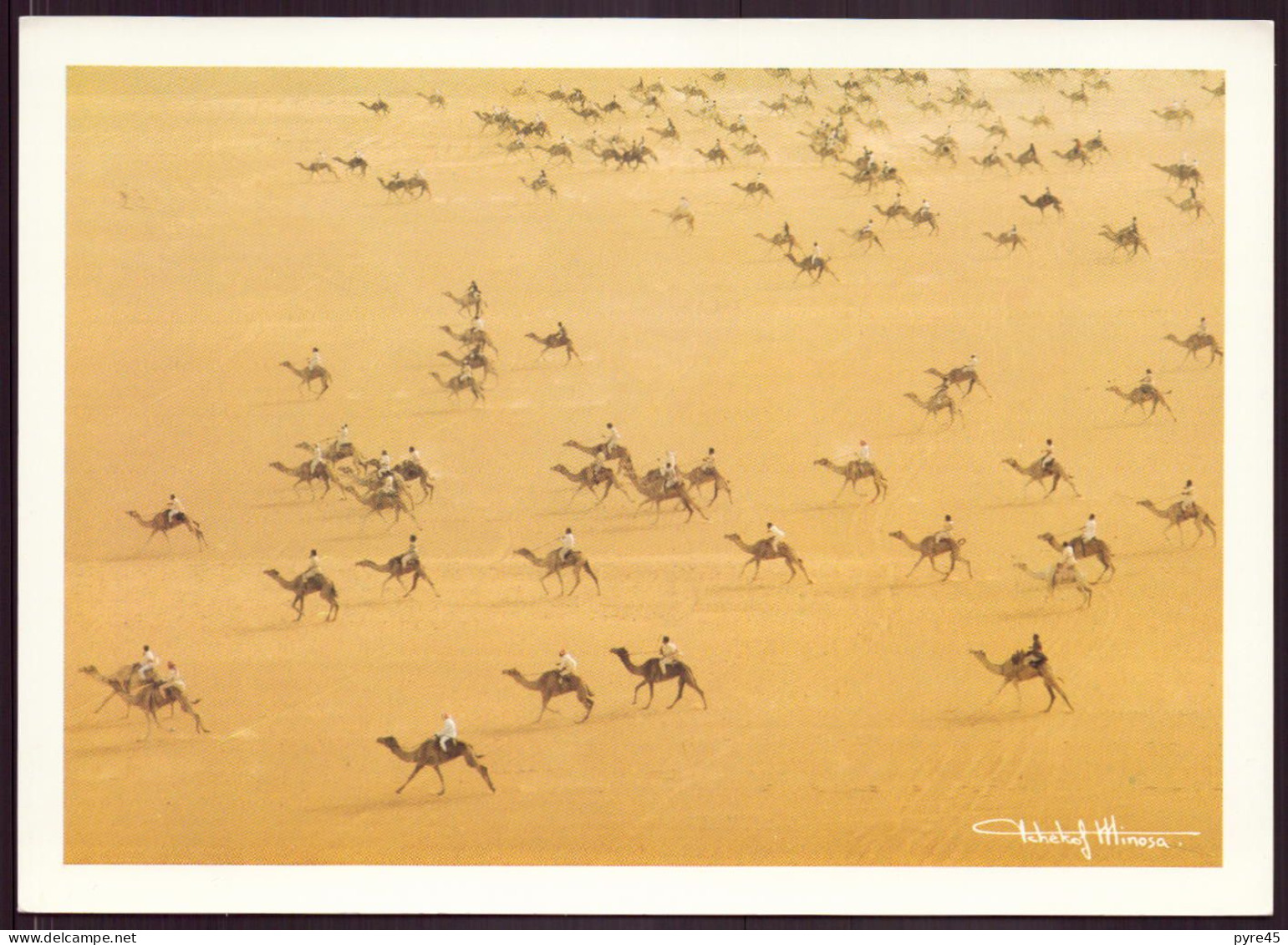 ARABIE SAOUDITE TRADITIONAL CAMEL RACE 17 X 12 CM - Arabie Saoudite