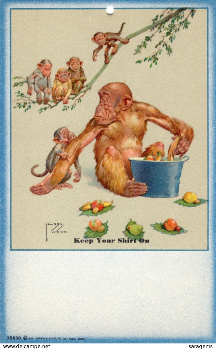 Lawson Wood Monkey Says "Keep Your Shirt On", 1910s - Antique Postcard - Wood, Lawson