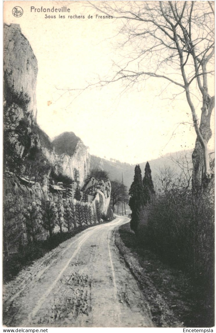 CPA  Carte Postale Belgique Profondeville  Sous Les Rochers De Fresnes 1914 VM68456 - Profondeville