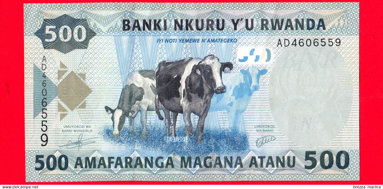 RWANDA - Usato - Banconota - 2013 -  Mucche E Tori - Studenti - Computer -  500 Francs - Ruanda