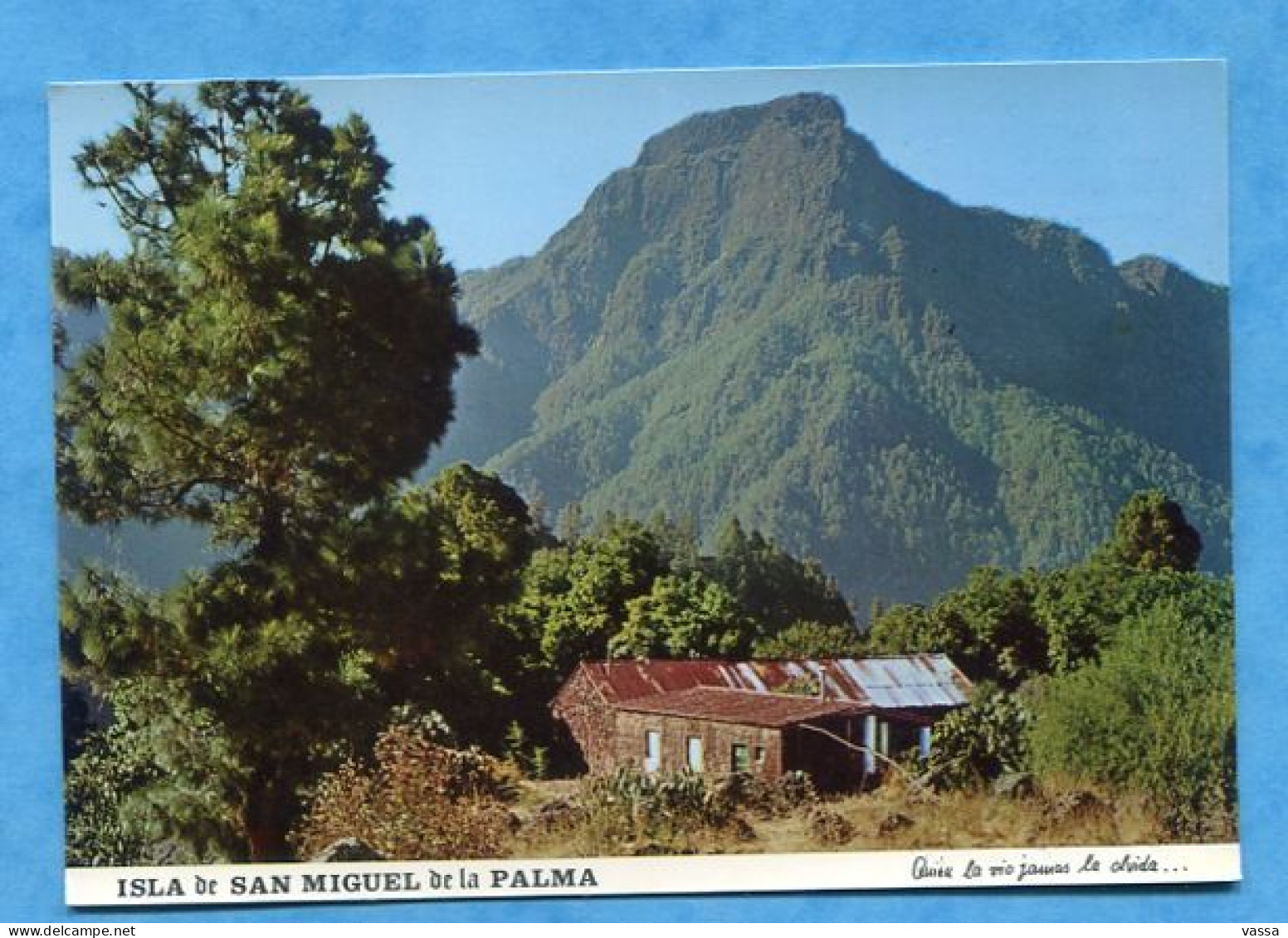 ISLA DE SAN MIGUEL (LA PALMA )Parque Nacional De La Caldera De Taburiente. . Canaria. Espagne - La Palma