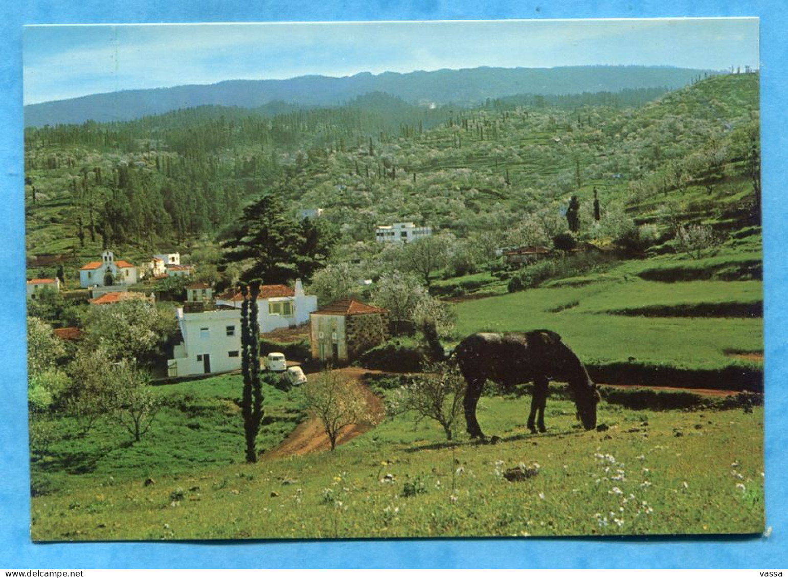 PUNTAGORDA - Vista Parcial -ISLA DE SAN MIGUEL (LA PALMA ) . . Canaria. Espagne. Cheval Horse - La Palma