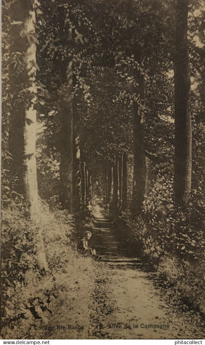 Gent - Gand  // College Ste. Barbe (Allee De La Campagne) 1909 - Gent