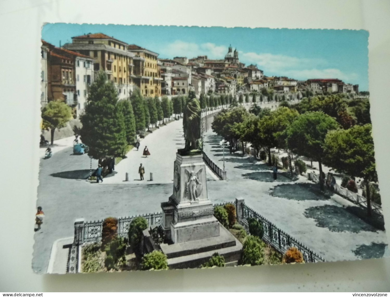 Cartolina Viaggiata "MACERATA Viale Puccinotti" 1960 - Senigallia