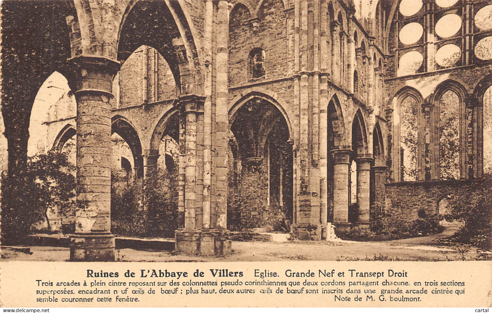 Ruines De L'Abbaye De Villers - Eglise - Grande Nef Et Transept Droit - Villers-la-Ville