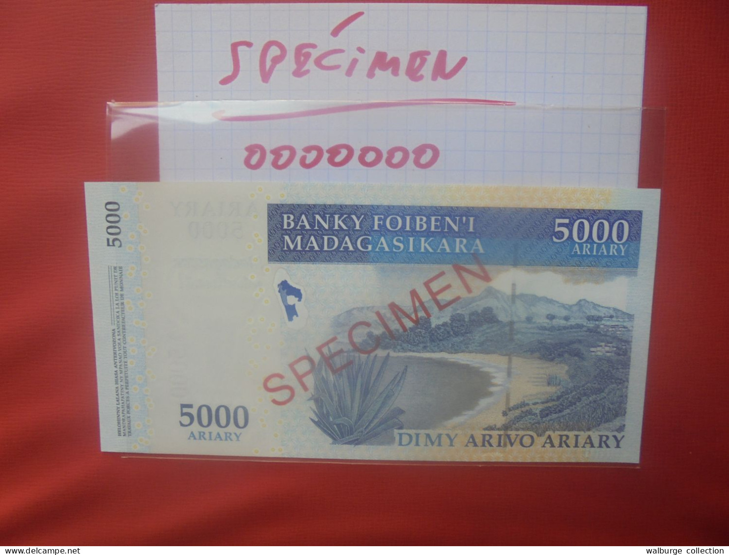 +++SPECIMEN+++MADAGASCAR 5000 ARIARY (2007) Neuf (B.29) - Madagascar