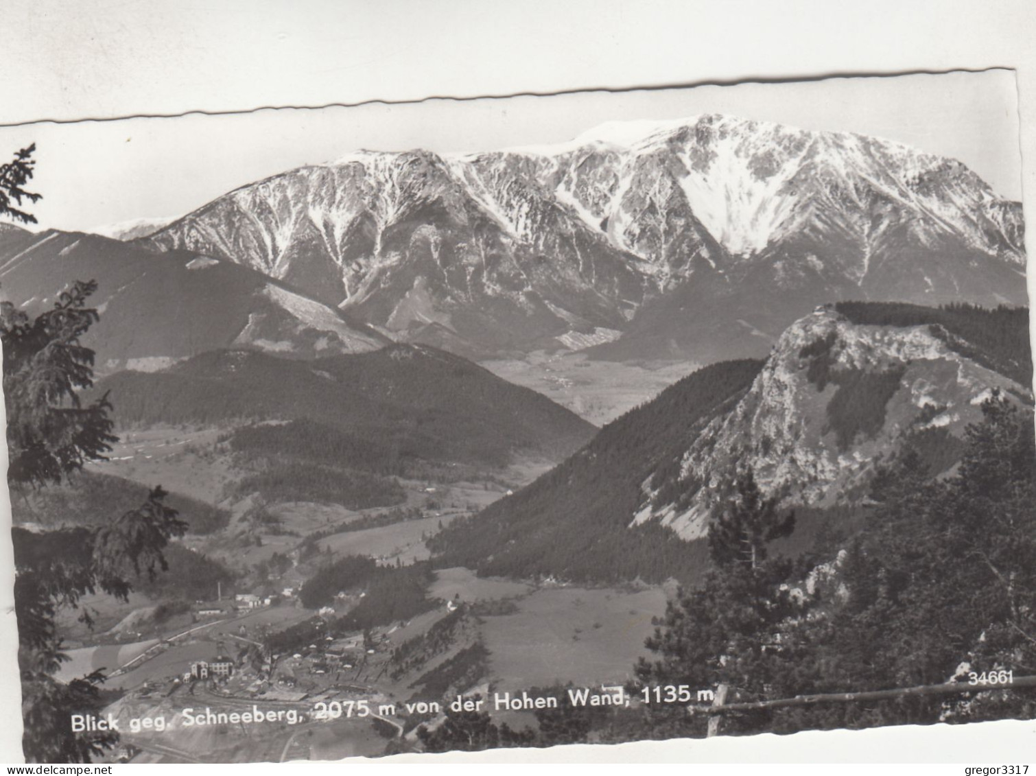 D372) Blick Gegen SCHNEEBERG Von Der HOHEN WAND - S/W ALT Gel. Stollhof - Schneeberggebiet