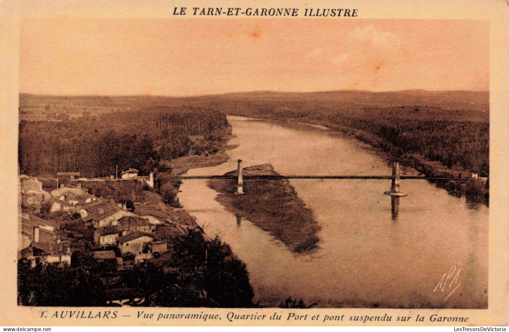 France - T Auvillars - Vue Panoramique, Quartier Du Port Et Pont Suspendu Sur La Garonne -  Carte Postale Ancienne - Auvillar