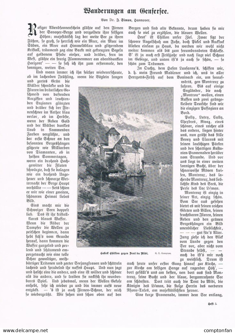 A102 1384 Compton Genfer See Genfersee Montreux Waadt Artikel / Bilder 1905 - Sonstige & Ohne Zuordnung