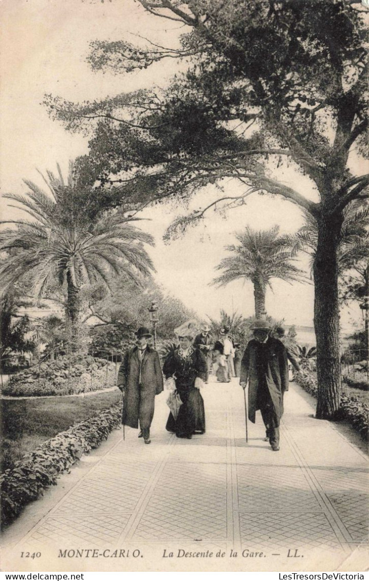 MONACO - Monte-Carlo - La Descente Sur La Gare - LL - Palmiers - Animé - Carte Postale Ancienne - Monte-Carlo