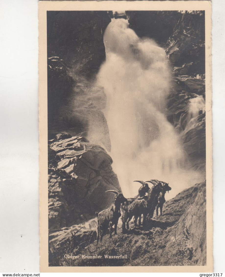 D393) KRIMML - Oberer Krimmler Wasserfall Mit Wild 1932 !! - Krimml