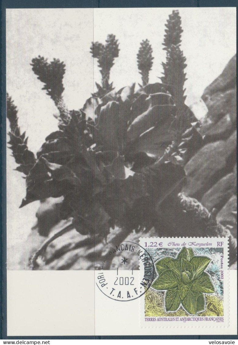 TAAF N° 333 FLORE SUR CARTE MAXIMUM - FDC