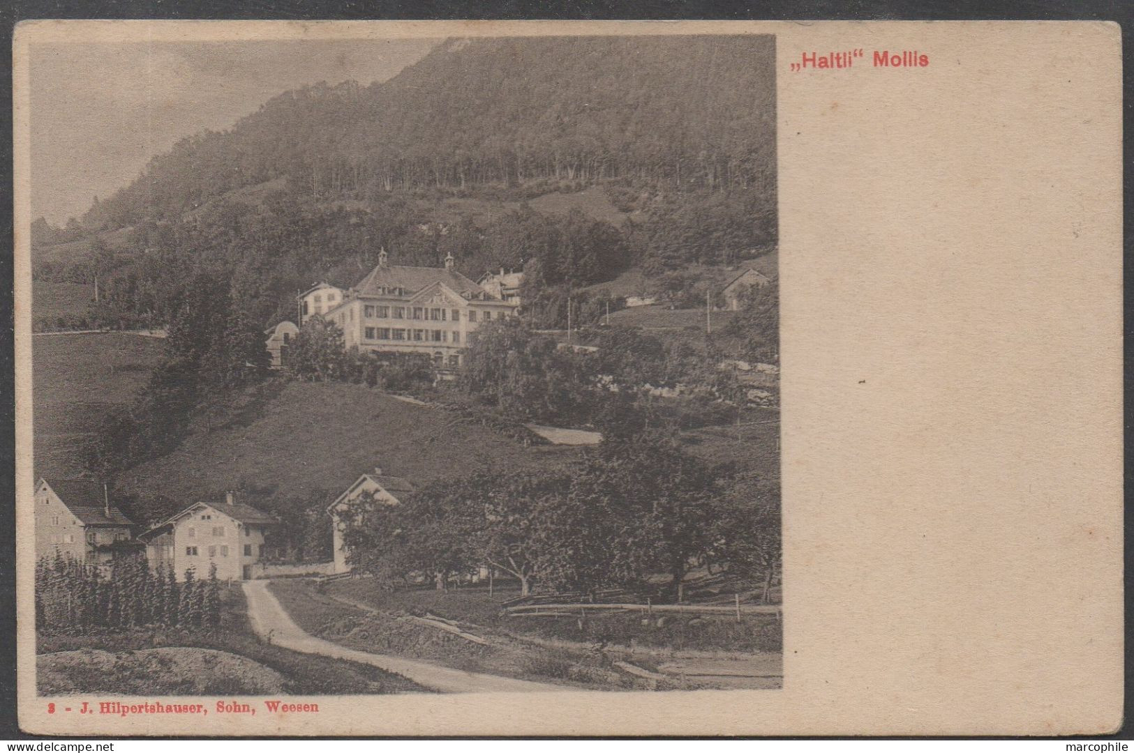 GL - GLARIS - GLARUS / 1913 HALTLI - MOLLIS CARTE POSTALE VOYAGEE  (ref CP791) - Mollis