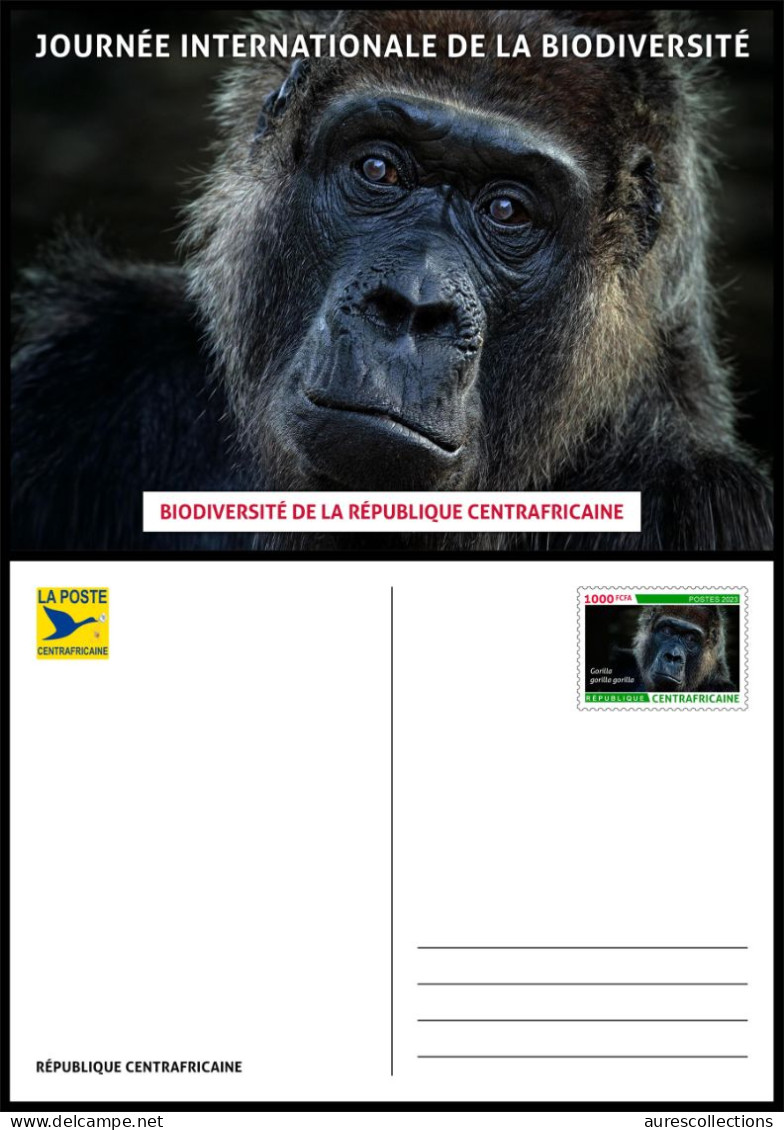 CENTRAL AFRICAN CENTRAFRICAINE 2023 - STATIONERY CARD - GORILLAS GORILLA GORILLE GORILLES APES - BIODIVERSITY - Gorilas
