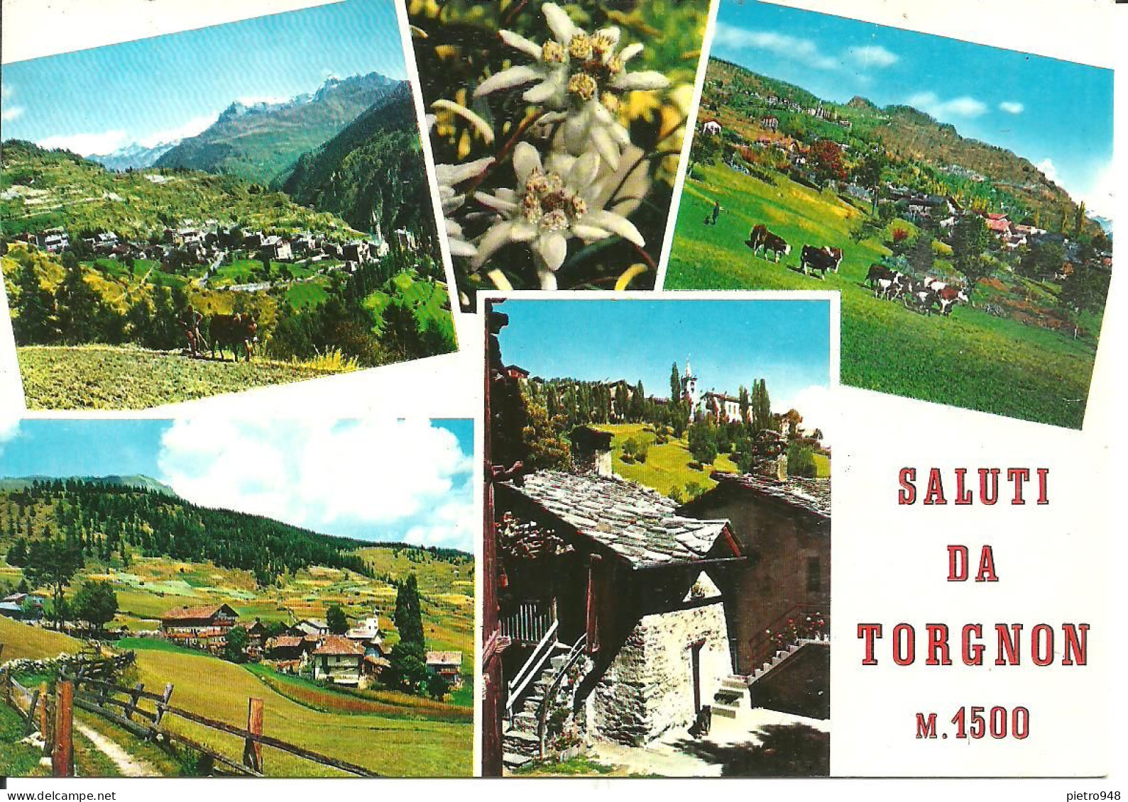 Torgnon (Aosta) Panorami Estivi Di: Torgnon, Fraz. Champagnod, Fraz. Septumian, Fraz. Verney - Aosta