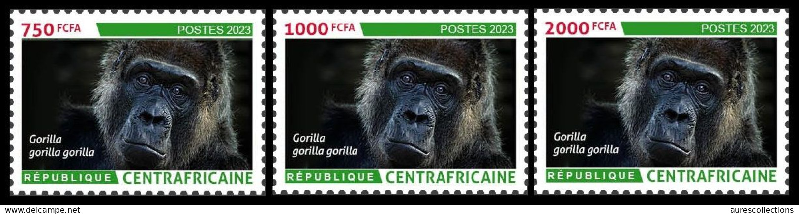 CENTRAL AFRICAN CENTRAFRICAINE 2023 SET 3V 750F 1000F 2000F- GORILLAS GORILLA GORILLE GORILLES APES - BIODIVERSITY - MNH - Gorilas
