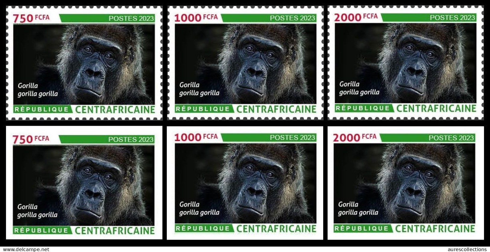 CENTRAL AFRICAN CENTRAFRICAINE 2023 SET 6V 750F 1000F 2000F- GORILLAS GORILLA GORILLE GORILLES APES - BIODIVERSITY - MNH - Gorilla