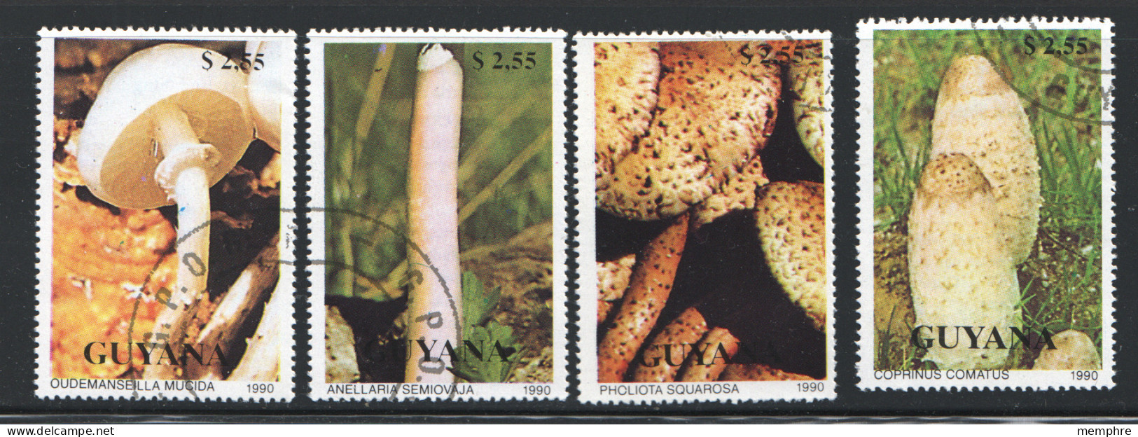 1990  Mushrooms  Set Of 4  Sc 248-1  Used  - Guyane (1966-...)